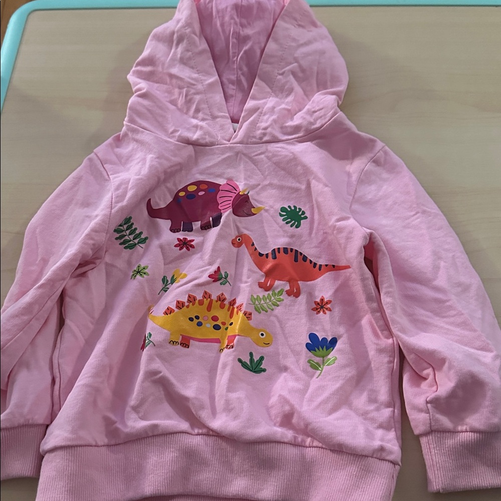 Pink Dinosaur Hoodie for Kids